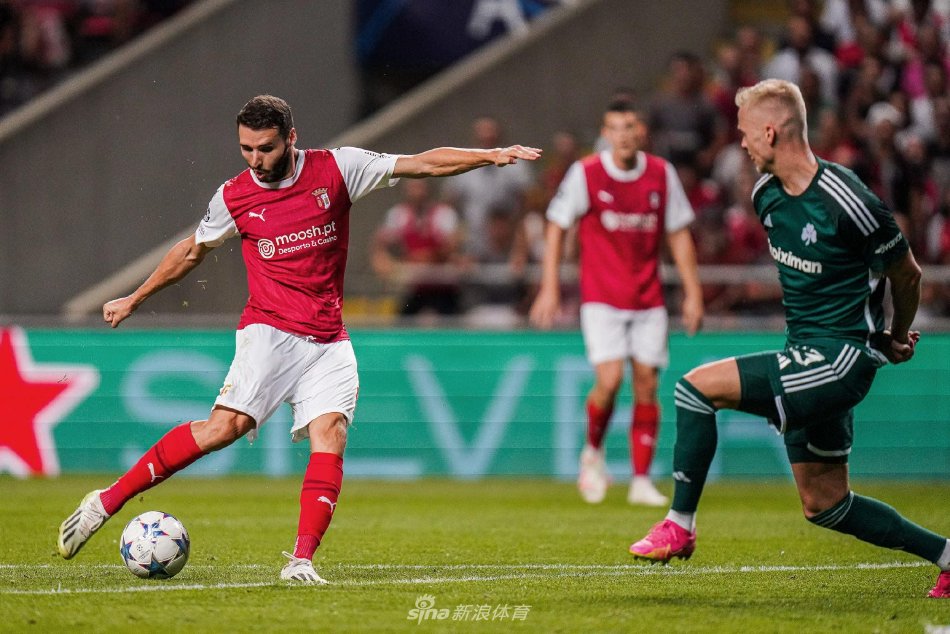 展示了他们 展示了他们