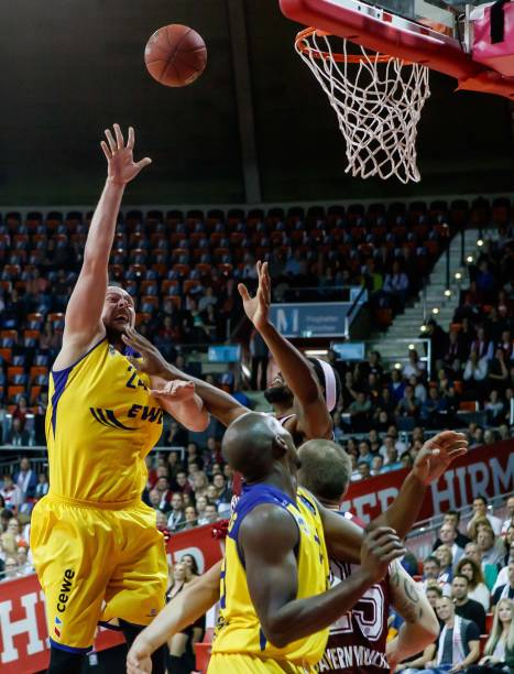 她们的特点 她们的特点