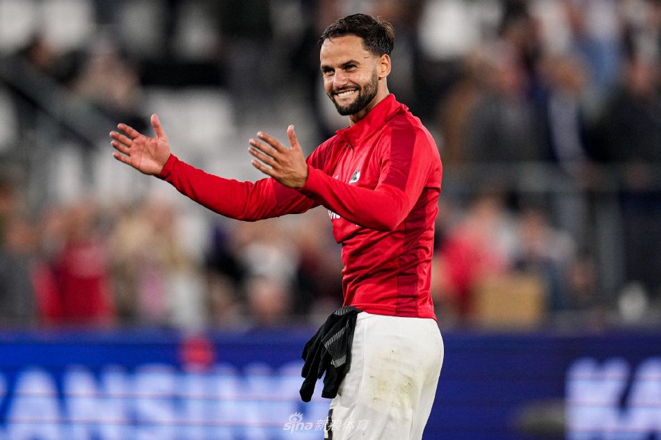 构成了足球 构成了足球